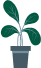 shape-img